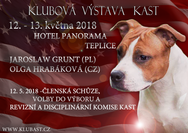 Klubová výstava